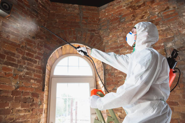 Best Forensic Mold Investigation  in USA